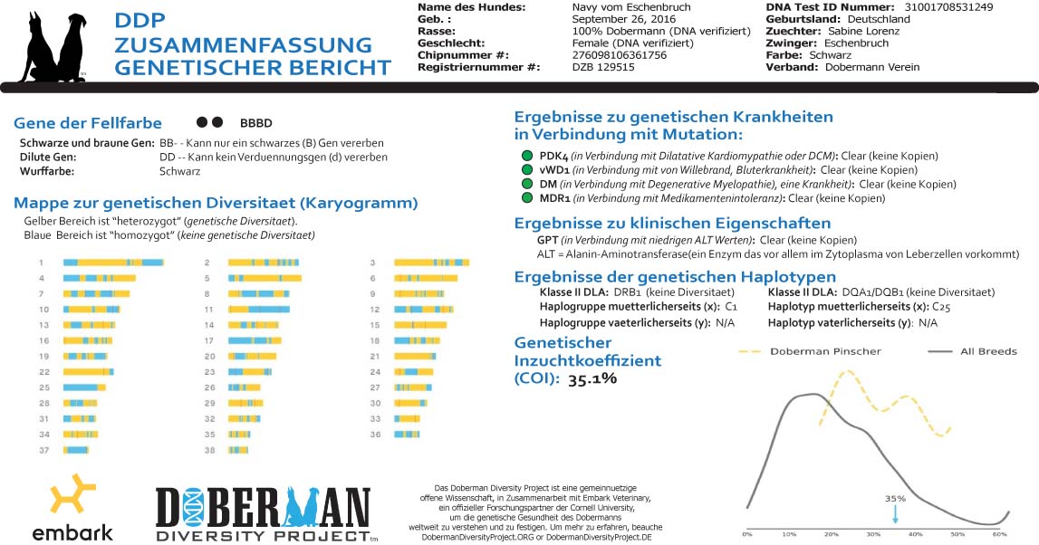 DDP Summary GERMAN Navy vom Eschenbruch