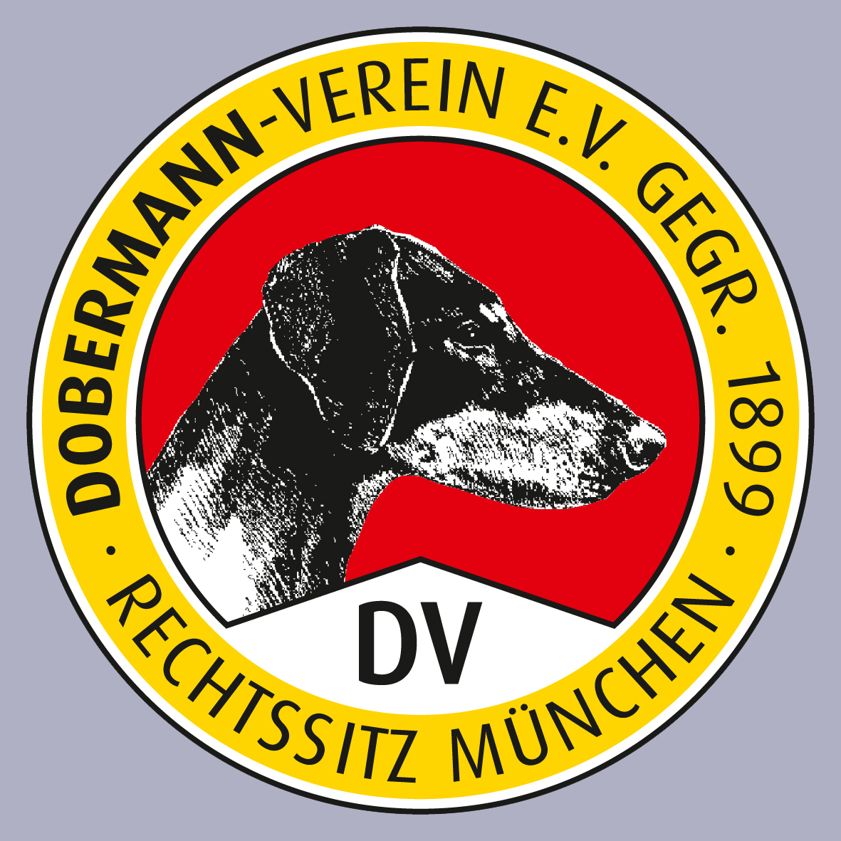 DV-Logo-2015-transparent1