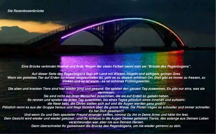 Die Regenbogenbrücke